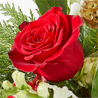 Deck the Halls Bouquet – EMERY'S FLOWERS & CO, Maumee OH
