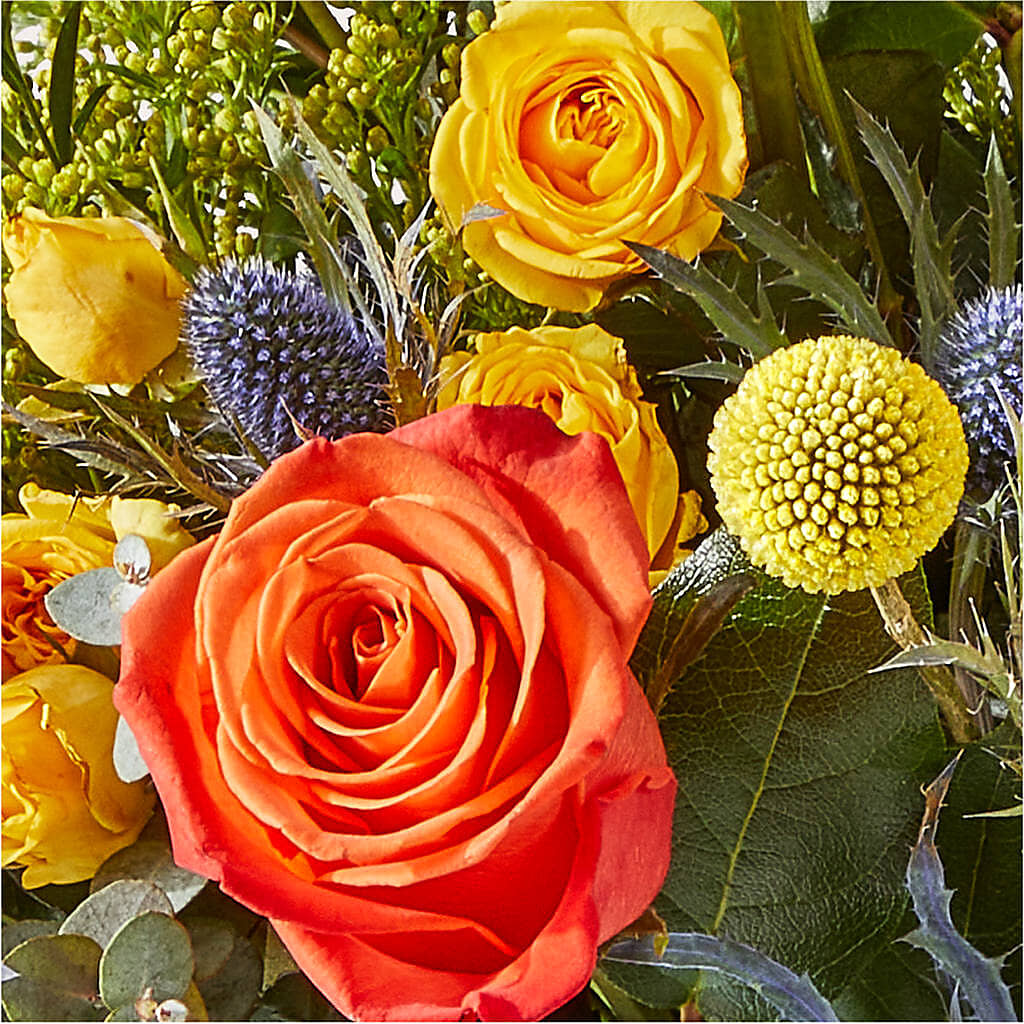 Disco Bouquet – EMERY'S FLOWERS & CO, Maumee OH