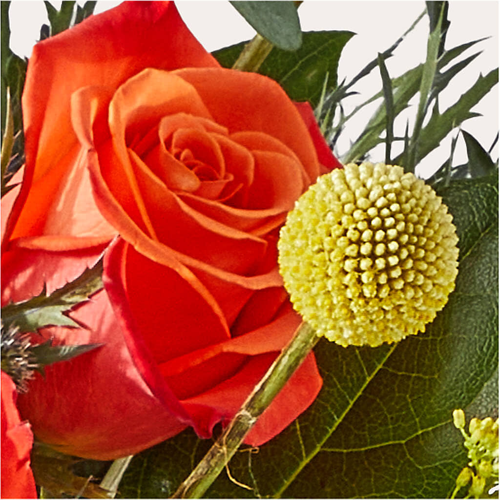 Disco Bouquet – EMERY'S FLOWERS & CO, Maumee OH