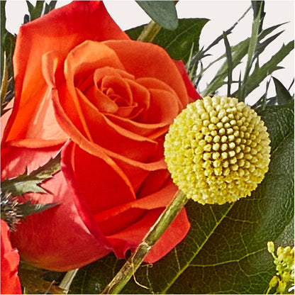 Disco Bouquet – EMERY'S FLOWERS & CO, Maumee OH