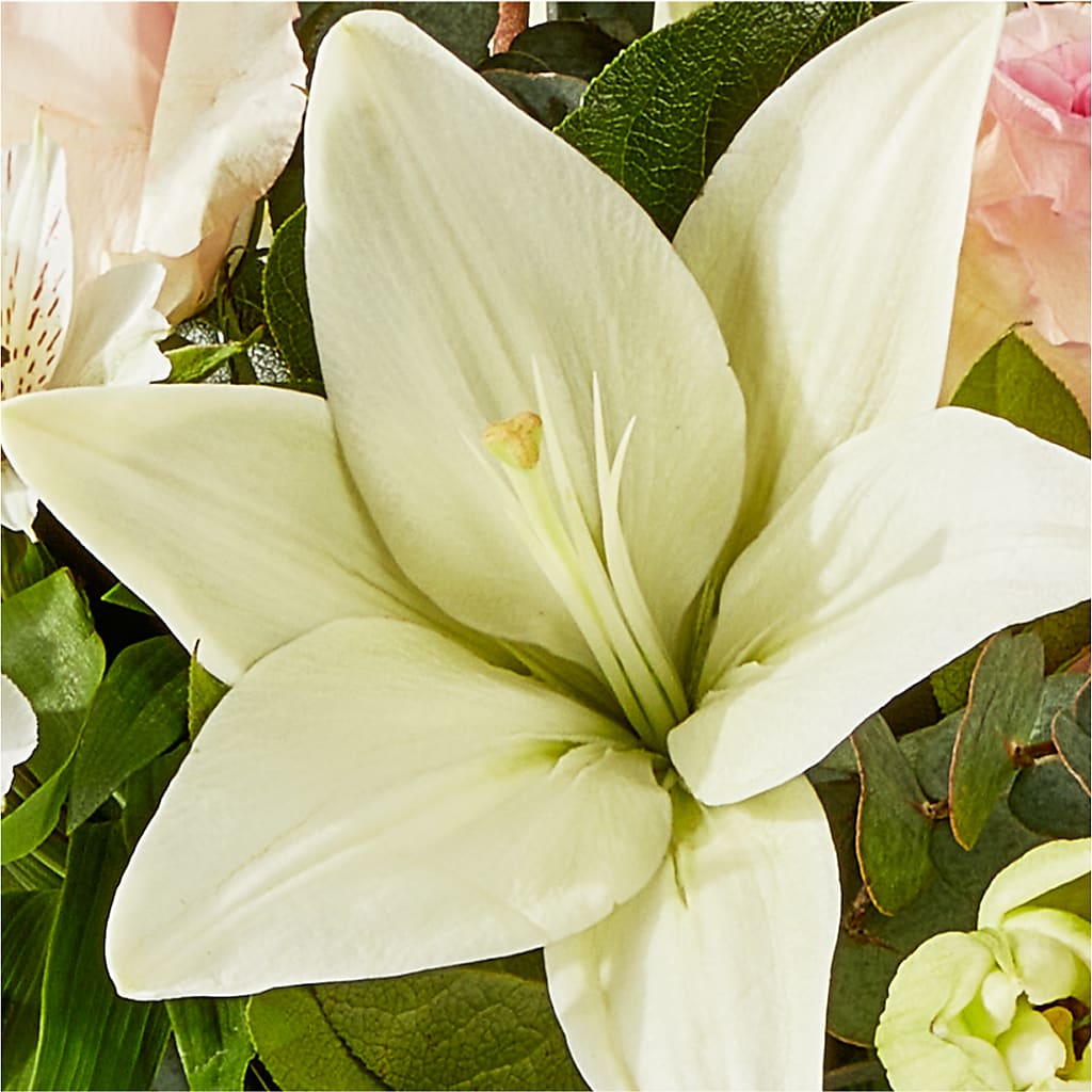 Ballet Slippers Bouquet – EMERY'S FLOWERS & CO, Maumee OH