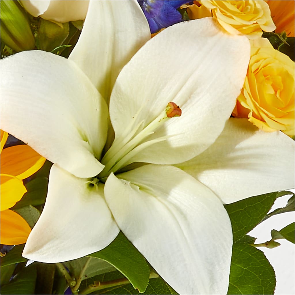 Wonderfully Sunny Bouquet – EMERY'S FLOWERS & CO, Maumee OH