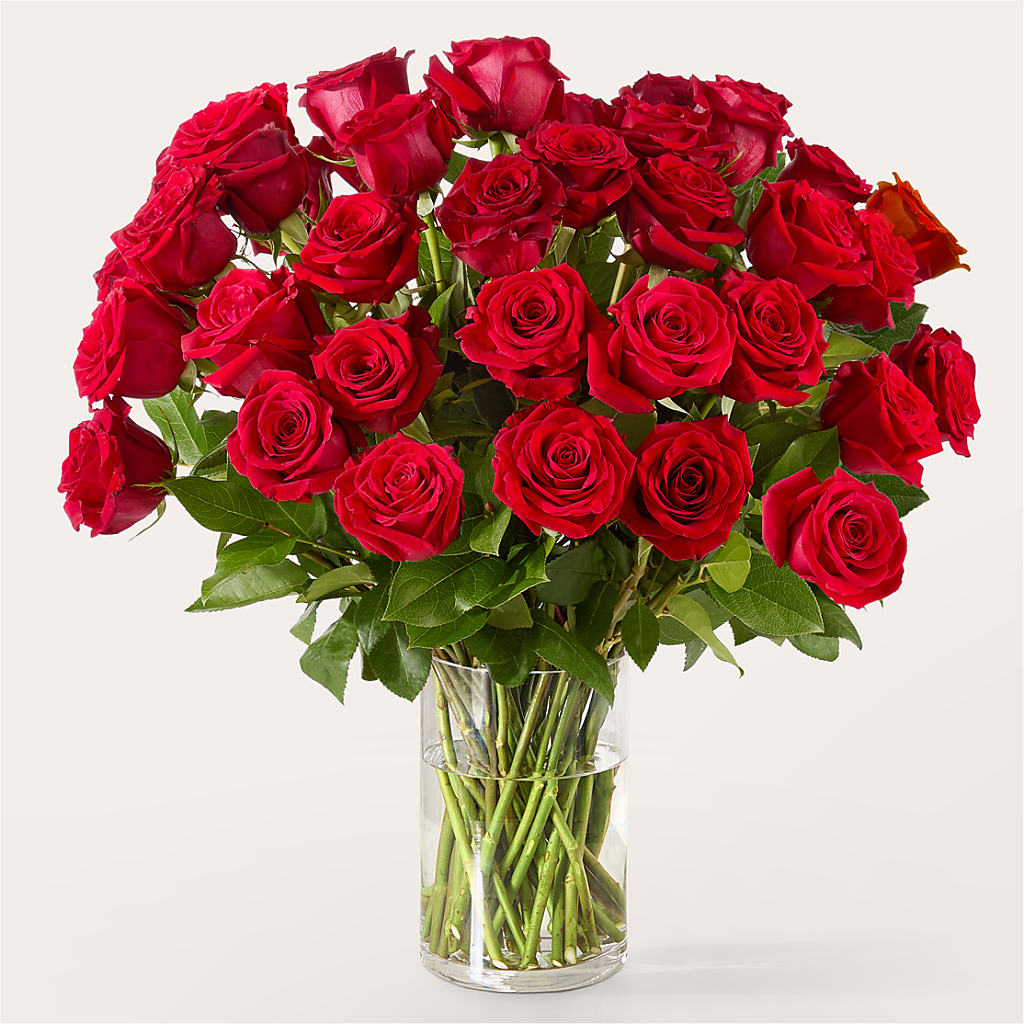 The One Red Rose Bouquet – EMERY'S FLOWERS & CO, Maumee OH
