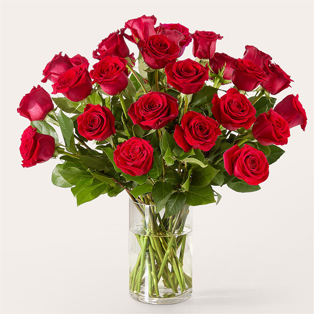 The One Red Rose Bouquet – EMERY'S FLOWERS & CO, Maumee OH