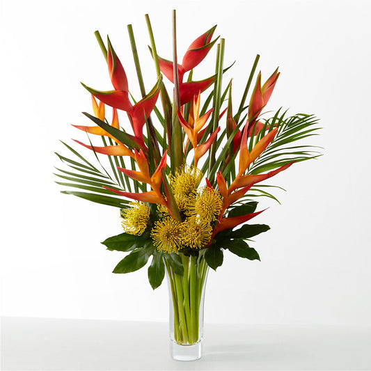 The Drama – EMERY'S FLOWERS & CO, Maumee OH