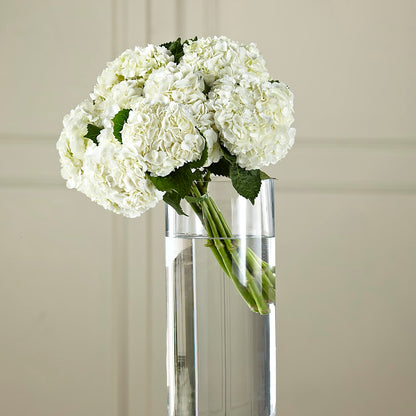 White Hydrangea Hand-Tied Bouquet – EMERY'S FLOWERS & CO, Maumee OH