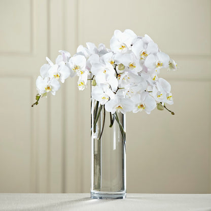 White Phalaenopsis Bouquet – EMERY'S FLOWERS & CO, Maumee OH