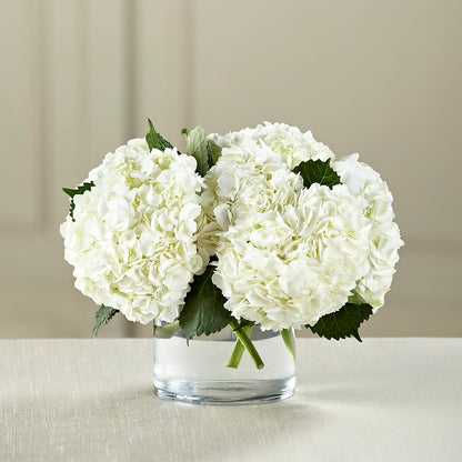 White Hydrangea Bouquet – EMERY'S FLOWERS & CO, Maumee OH